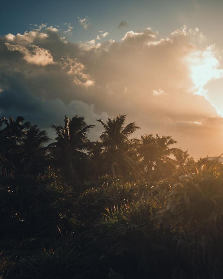 O' Tulum Boutique Hotel - Adults Only エクステリア 写真